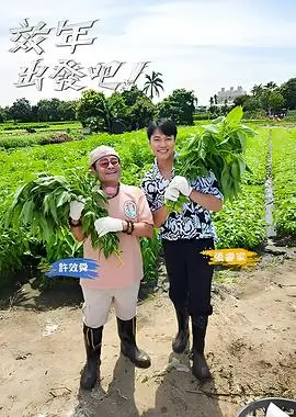 范文提纲样本四配图：分镜格时序与色指定对照的分析卡片